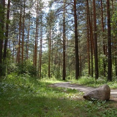 Санаторий Золотой колос, Некрасовский район, Ярославская область