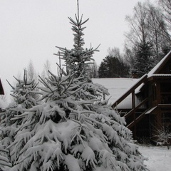 База отдыха Шишки, Осташковский район, Тверская область