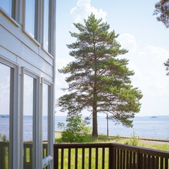 Парк-отель Бухта Коприно, Рыбинский район, Ярославская область