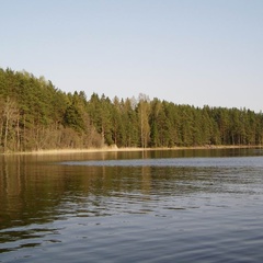 База отдыха Шишки, Осташковский район, Тверская область