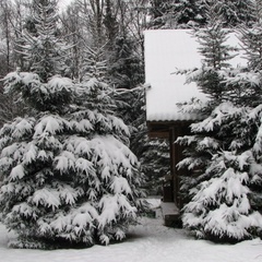 База отдыха Шишки, Осташковский район, Тверская область