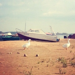 Турбаза Уходово, Конаковский район, Тверская область