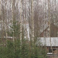 База отдыха Шишки, Осташковский район, Тверская область