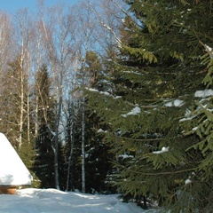 База отдыха Шишки, Осташковский район, Тверская область