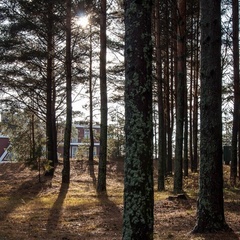 Парк-отель Бухта Коприно, Рыбинский район, Ярославская область