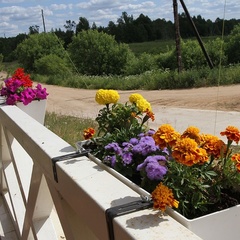 Охотничье хозяйство Экомир, Жарковский район, Тверская область