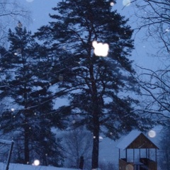 База отдыха Ока, Меленковский район, Владимирская область