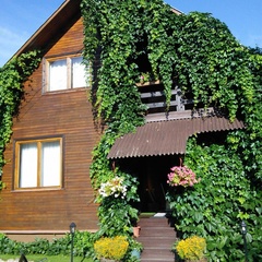 Гостевой дом На Цветочной, Суздальский район, Владимирская область