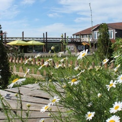 Гостевой дом Рыжий лис, Суздальский район, Владимирская область