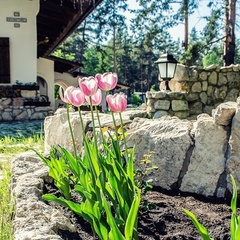 Парк-отель Усадьба Мещерская, Гусь-Хрустальный, Владимирская область