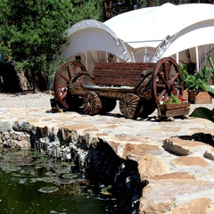 Парк-отель Усадьба Мещерская, Гусь-Хрустальный, Владимирская область