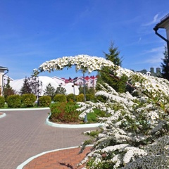 Отель Николаевский Посад , Суздальский район, Владимирская область