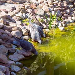 Гостиничный комплекс Святогор, Муром, Владимирская область