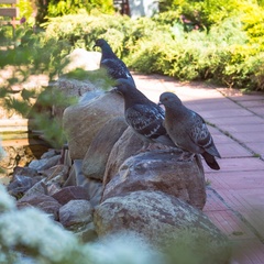 Гостиничный комплекс Святогор, Муром, Владимирская область