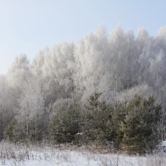 Усадьба Галат, Суздальский район, Владимирская область