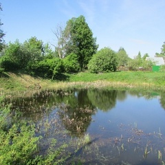Гостевой дом Аленушкин теремок, Суздальский район, Владимирская область