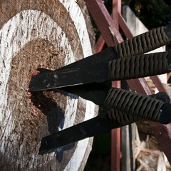 Загородный клуб Зодиак, Томский район, Томская область