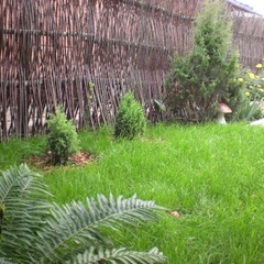 База отдыха дом Петровых , Суздальский район, Владимирская область