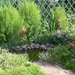 База отдыха дом Петровых , Суздальский район, Владимирская область