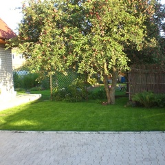 База отдыха дом Петровых , Суздальский район, Владимирская область