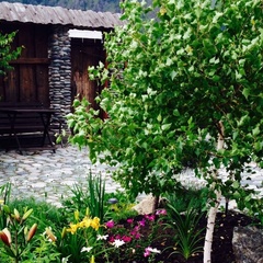 Усадьба Кедр, Чемальский район, Республика Алтай