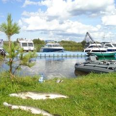 База отдыха Креницы, Волховский район, Ленинградская область