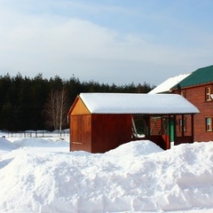 Гостевой дом Брыкин Бор, Спасский район, Рязанская область