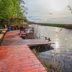 Гостевой дом Сорок четыре, Суздальский район, Владимирская область