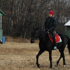Туристическая база  База отдыха «Бояринцево» , Михайловский район, Рязанская область
