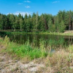 База отдыха ФаZOOнда, Рязанский район, Рязанская область