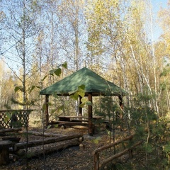 База отдыха В некотором царстве, Рязанский район, Рязанская область