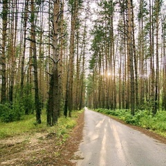 База отдыха Край леса, Рязань, Рязанская область