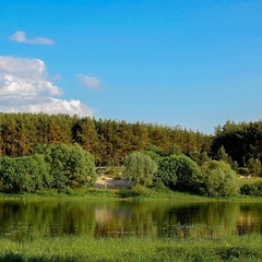 База отдыха Край леса, Рязань, Рязанская область