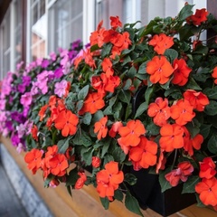 Гостиничный комплекс Ланд Хаус, Рязань, Рязанская область