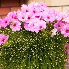 Гостиничный комплекс Ланд Хаус, Рязань, Рязанская область