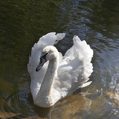 Гостиничный комплекс Капитан Клаб, Заокский район, Тульская область