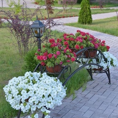 Загородный комплекс Петушки, Тула, Тульская область