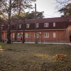 Туристическая база Сосновый бор, Алексинский район, Тульская область