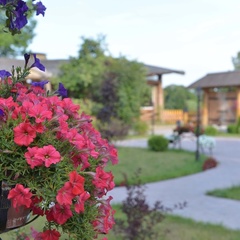 Загородный комплекс Петушки, Тула, Тульская область