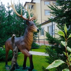 Загородный комплекс Жар-птица, Заокский район, Тульская область