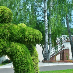 Парк-отель Мечта, Орловский район, Орловская область