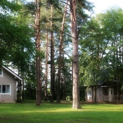 Дачный отель PineRiver, Жуковский район, Калужская область