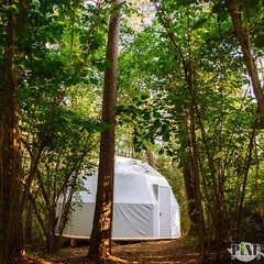 Дачный отель PineRiver, Жуковский район, Калужская область