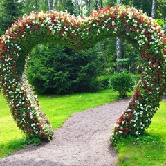 Парк-отель Мечта, Орловский район, Орловская область