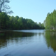 Охотничье-рыболовная база Сафари Парк, Износковский район, Калужская область