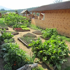 База отдыха Susha ltd, Чемальский район, Республика Алтай