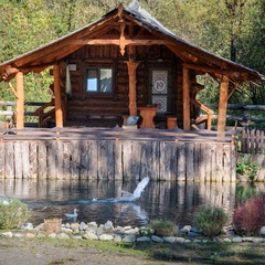 Эко-отель Деревня Берендеевка, Шебалинский район, Республика Алтай