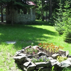 Пансионат Старые Друзья, Белокуриха, Алтайский край