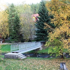 Пансионат Старые Друзья, Белокуриха, Алтайский край