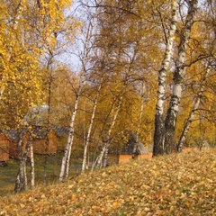 База отдыха Кырсай, Улаганский район, Республика Алтай
